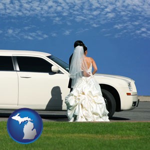 a white wedding limousine - with Michigan icon