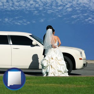 a white wedding limousine - with New Mexico icon